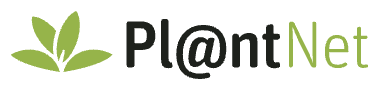 PlantNet Icon